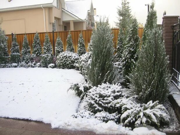 What to Do in the Garden during the Winter? - 1001 Gardens Winter garden, Garden