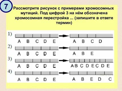 Ная ме