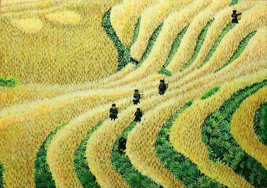 They rice in the fields. Rice field. вьетнам ландшафт. rice art. картины из коллекции поля гийома фото.