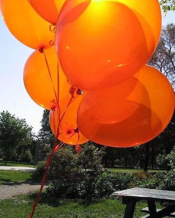 На оранжевом шаре. Оранжевый шарик. Оранжевые воздушные шары. Оранжевый воздушный шарик. Воздушные шарики оранжевого цвета.