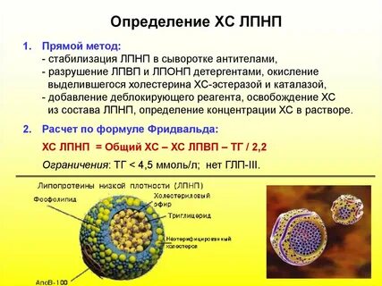 Лпнп прямой метод