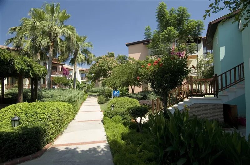Holiday village алания. Fun sun gypsophila village 5 турция. Gypsophila holiday village турция. Алания отель гипсофила холидей виладж 5. Holiday village алания.