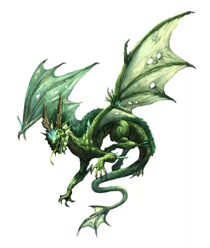 Рисунок зеленого деревянного дракона. DND молодой зеленый дракон. Зеленый дракон ДНД. Молодой зеленый дракон ДНД. Молодой зеленый дракон ДНД 5.