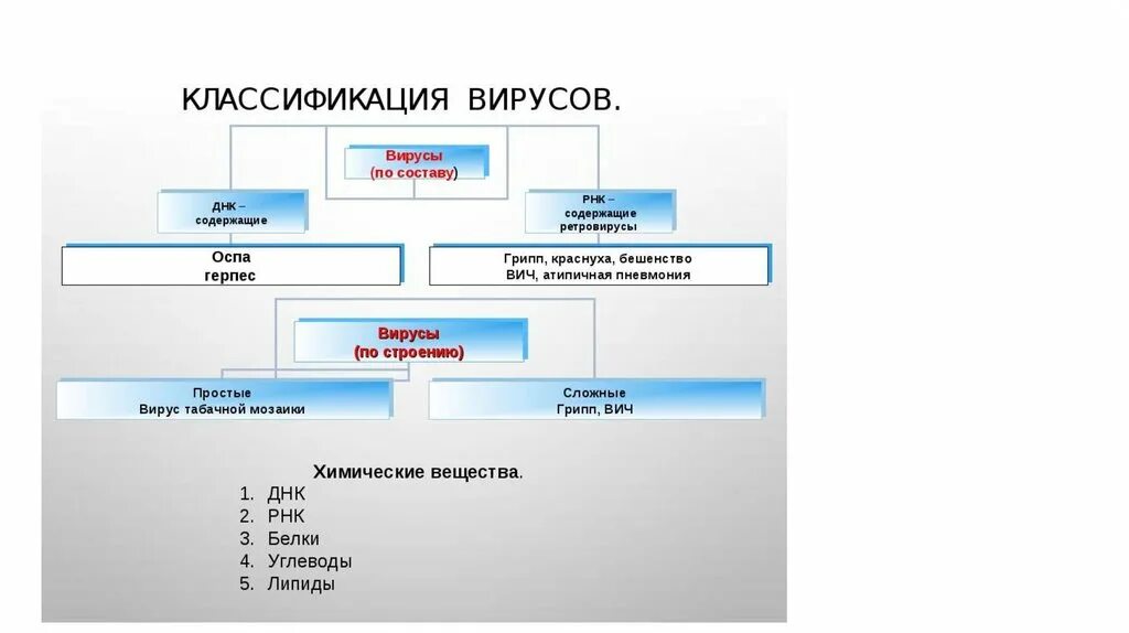 Вирусы состоят из нуклеиновой кислоты. Строение и классификация вирусов. Классификация вирусов по строению. Классификация биологических вирусов. Классификация вирусов по типу нуклеиновой кислоты.