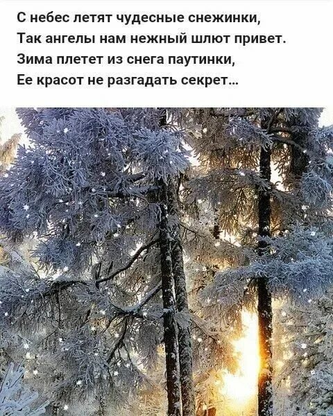 Зима цитаты красивые. Зима это сказка цитаты. Зима это сказка цитаты. Цитаты про зиму. Цитаты про зиму.