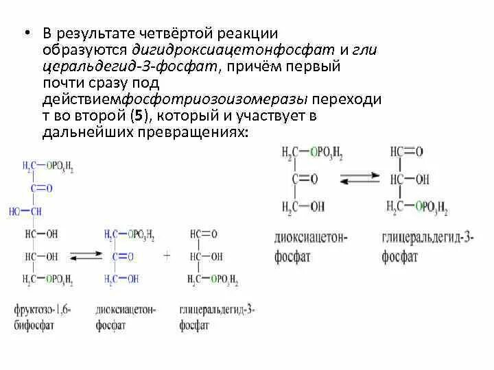 В результате реакции образуется некоторое ядро. Гастриксин схема реакции. Дигидроксиацетонфосфа. Реакция с ферментом гастриксин. Гастриксин биохимия.