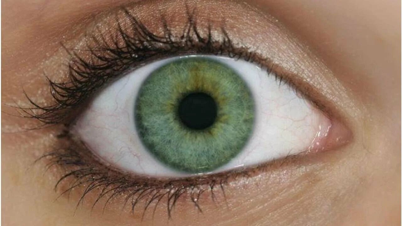 Серо зеленые глаза. Изумрудно зеленые глаза. Тёмно-зелёный цвет глаз. Салатовый цвет глаз.
