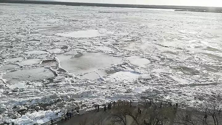 Лед тронулся. Лед тронулся прикол. Лед тронулся фото. Коллаж лед тронулся. Форум лед тронулся