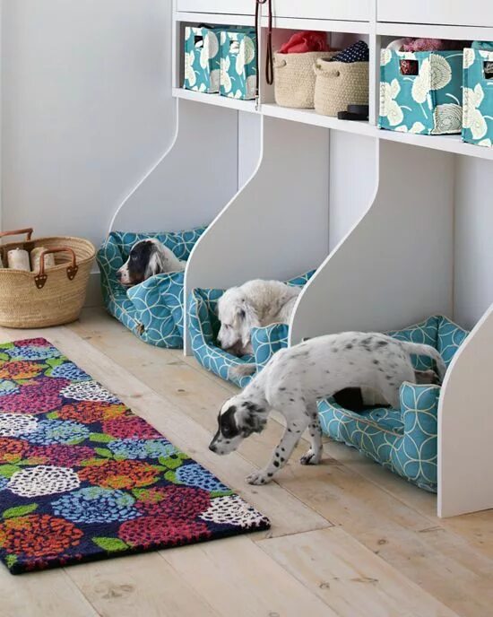 11 Smart Storage Solutions for Your Pet Supplies Animal room, Coisas de cachorro