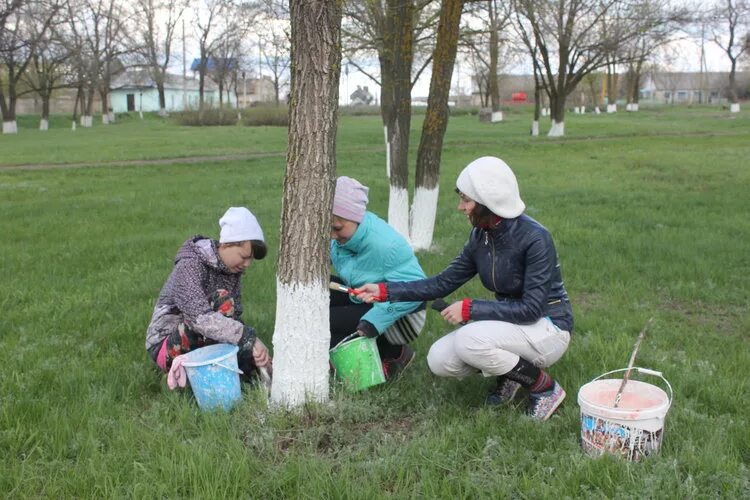 Город добрых дел. Доброе дело для села. Заметка о добром деле для города. Добрые дела в селе.