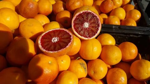 Juicy fruits sunshine rich