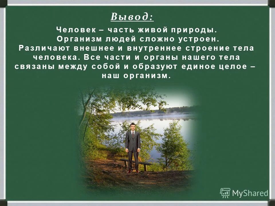 Связь человека с природой 6 класс. Человек часть природы. Человек часть живой природы. Человек часть природы сообщение. Человек часть природы презентация.