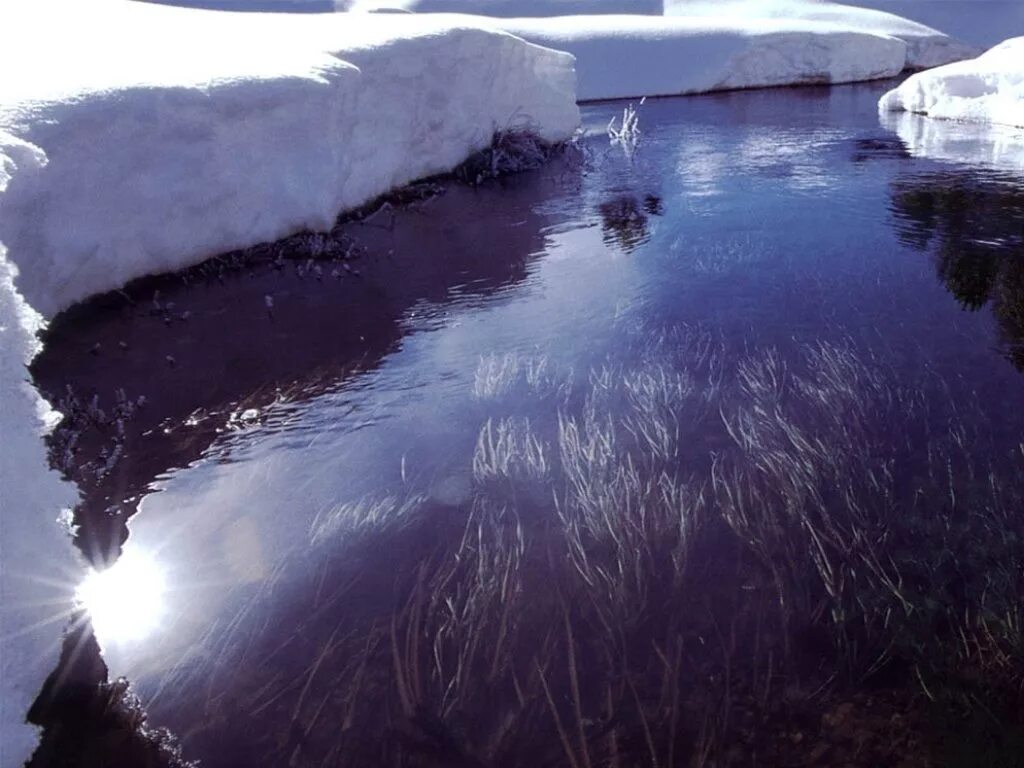 Вода в реке замерзла. Зимняя река подо льдом. замерзшая вода. лед на реке. озеро подо льдом.
