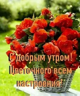 Доброе утро надежды веры