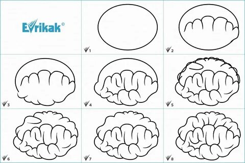 DataLife Engine Версия для печати Головной мозг рисунок поэтапно (46 фото)