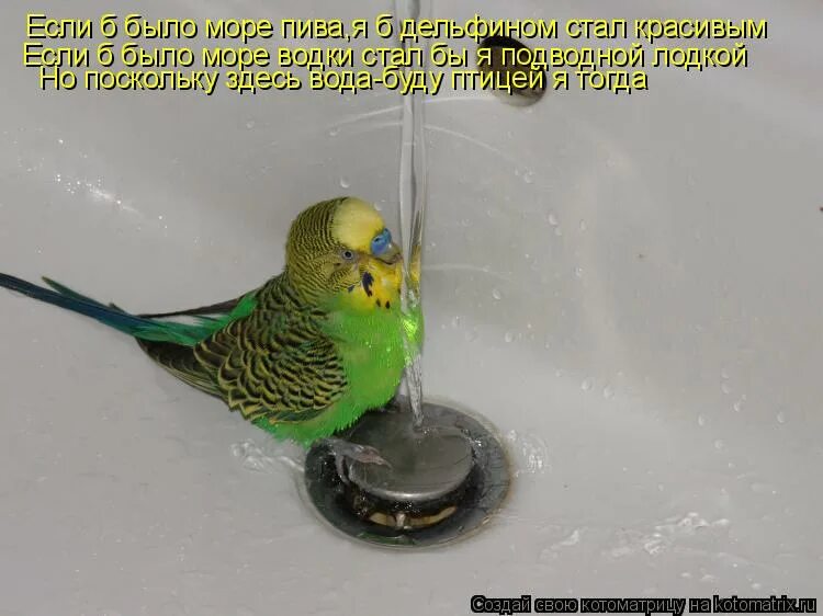если б море было пивом текст