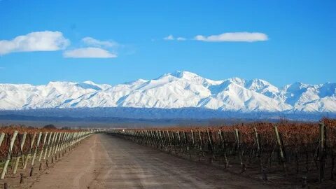 Mendoza