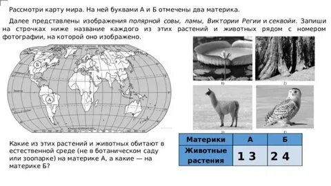 Материки впр 4 класс окружающему