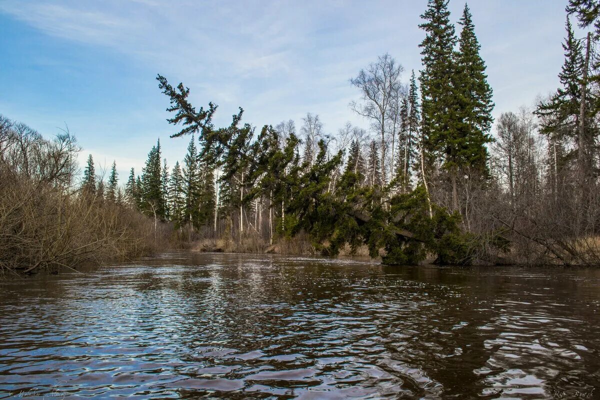 станция вихоревка иркутская область. река вихоревка братского района. река вихоревка братск. р вихоревка. река вихоревка братского района.