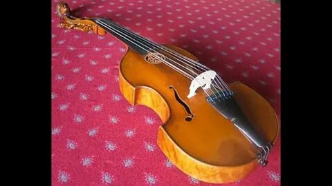 Viole