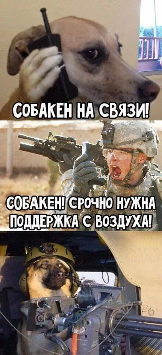 Подкрепление не пришло песня