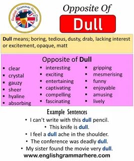 Dull перевод