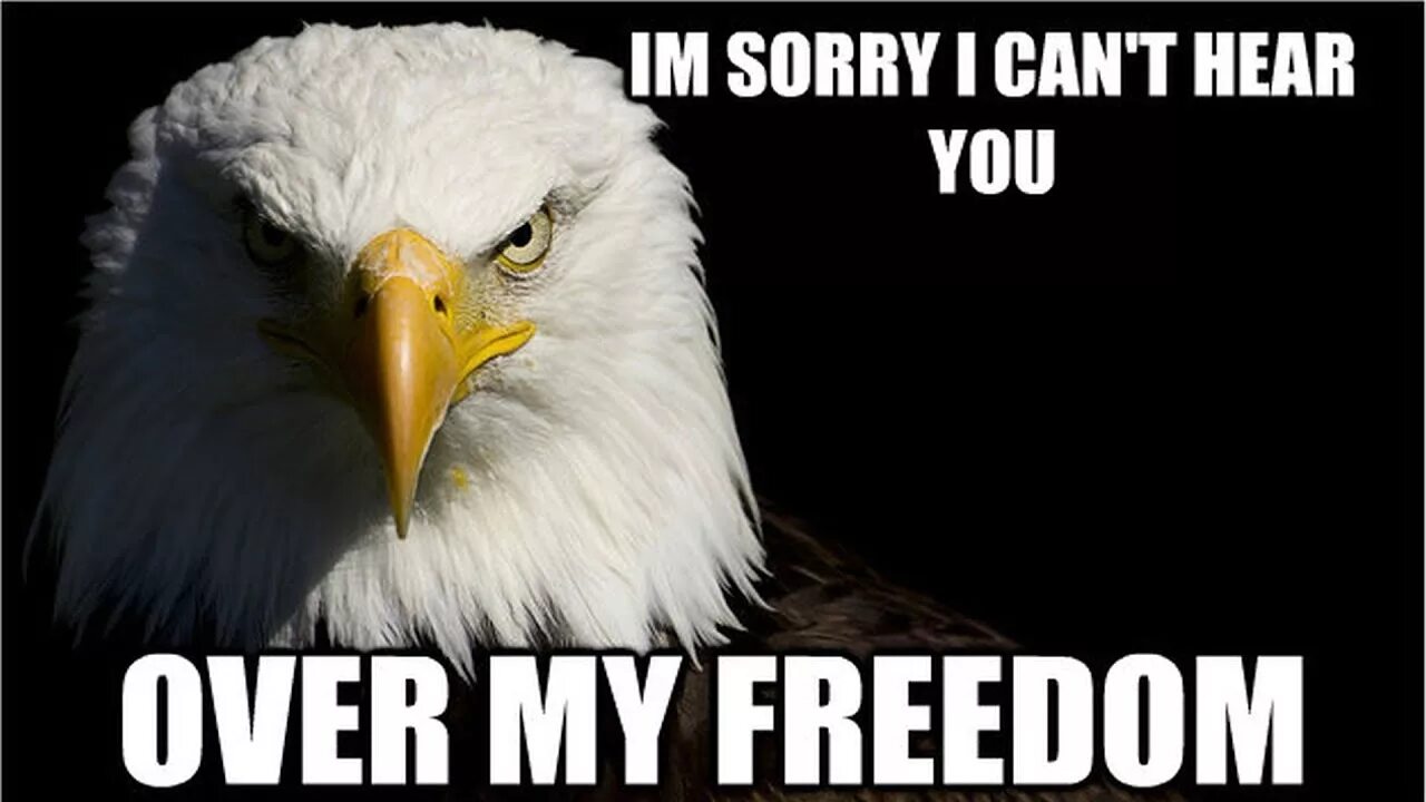 American Freedom meme. Enjoy Freedom Мем. America Eagle meme. Cant hear