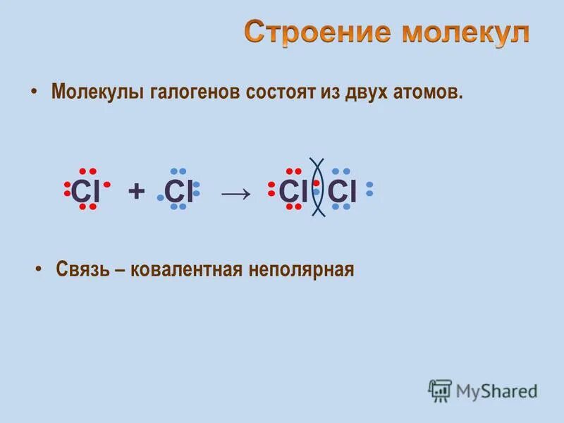 Молекулы галогенов состоят из 2 атомов. Молекулы галогенов состоят из 2 атомов