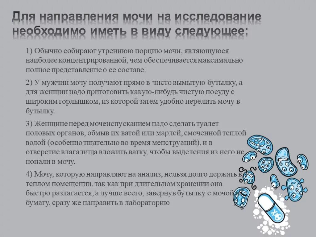 Правильный сбор мочи на МАУ. МАУ анализ мочи. Как правильно сдавать мочу с ваткой. Как правильно собрать мочу на МАУ.