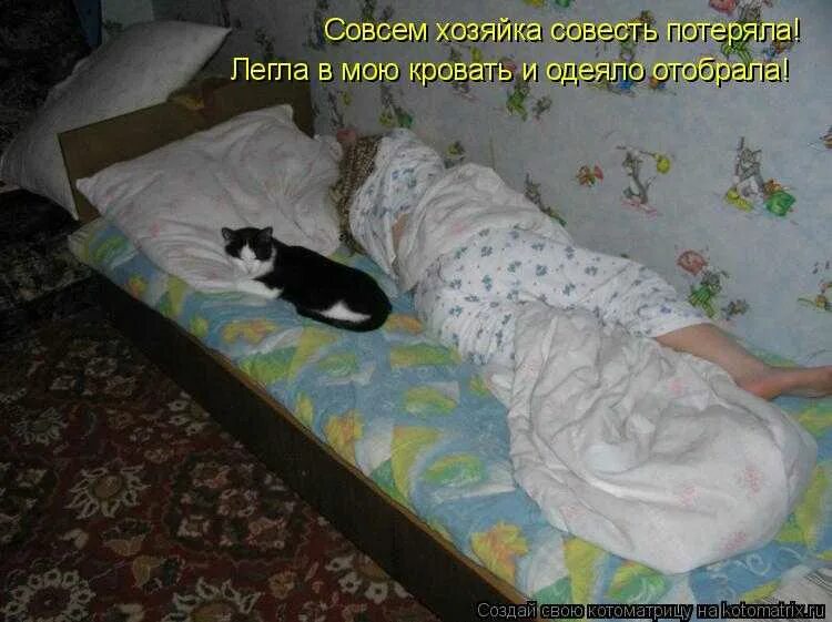 Полежать в кроватке. Полежать на кровати. Котик занял всю кровать. Котик в кровати.
