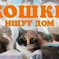 Ищу д