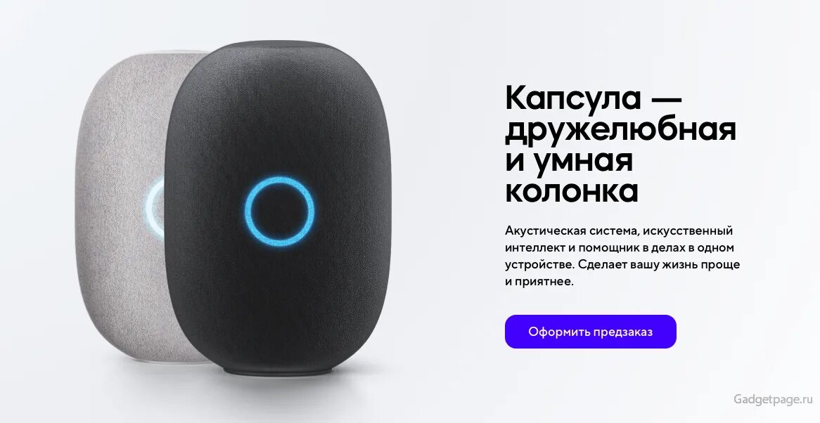 Составление рейтинга. Сколько в мире умных. Домашние животные статистика. Статистика iq. Статистика пользования телефоном.