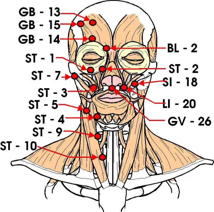 Practice points