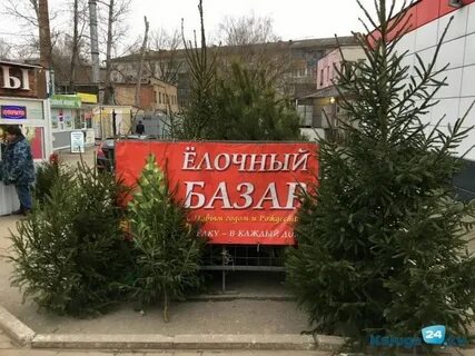 Елочный базар калуга