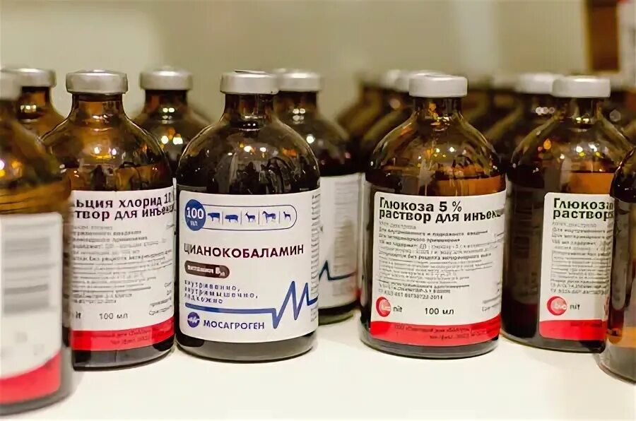 вильдар щекино ветеринарный