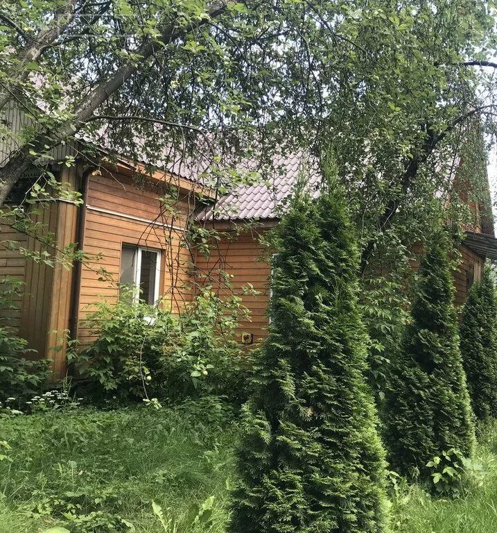 участок салтыковка балашиха. участок салтыковка балашиха. балашиха салтыковка. земля в салтыковке. салтыковка ул пионерская дача левитана.