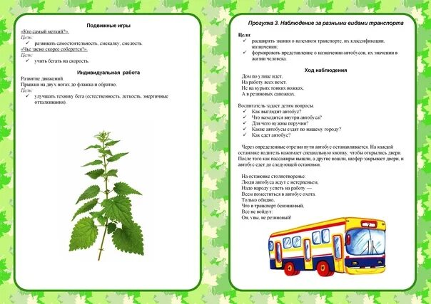 Прогулка старшая группа фгос