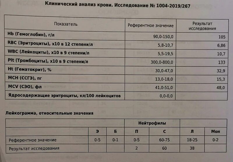 Анализы почек. Норма анализа почек. Анализы почек по крови. Анализ почек по крови норма. Какие анализы нужны чтобы проверить почки