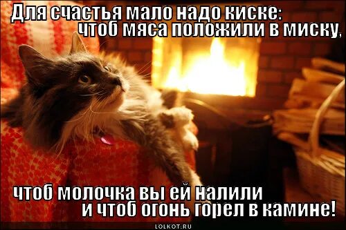 Налей так чтоб. Не ждите когда кто то сделает вас счастливыми налейте себе сами.