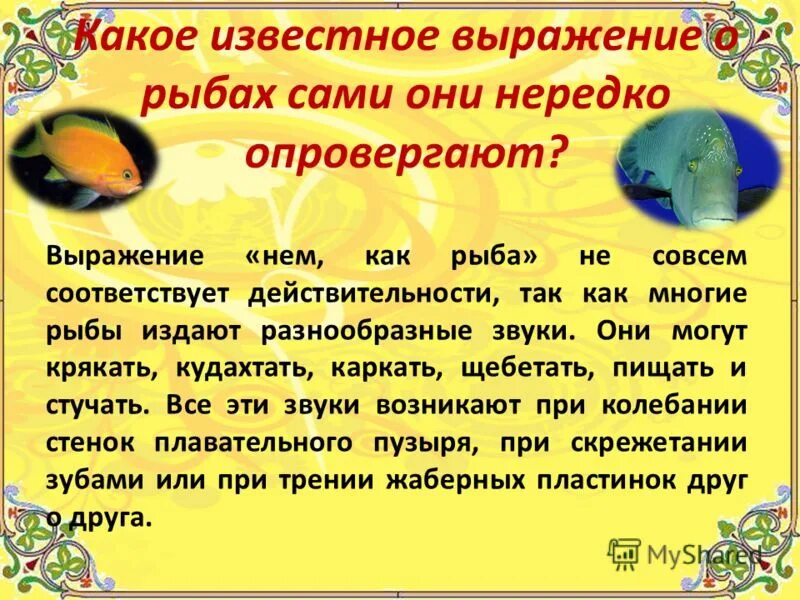 какие звуки издают рыбы