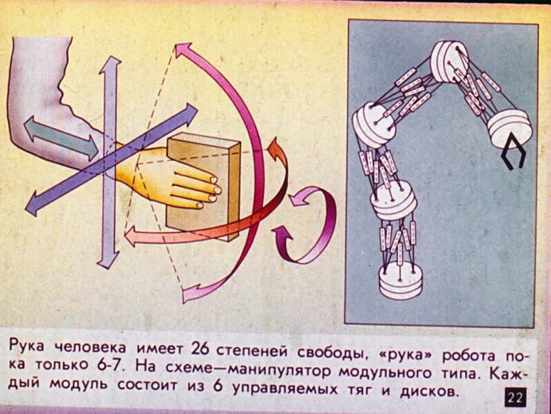 Степень свободы мкт. Биокинематическая пара. Степень свободы руки. Число степеней свободы w манипулятора равно. Как определить число степеней свободы молекулы.