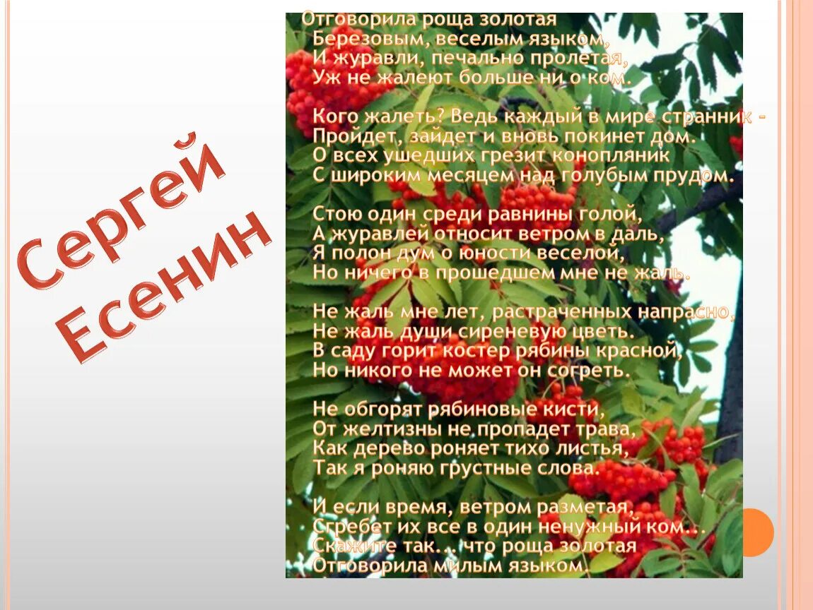 Березовым веселым языком. Отговорила роща золотая березовым веселым языком. есенин отговорила роща золотая стих. стих отговорила роща золотая березовым веселым языком. роща золотая есенин.