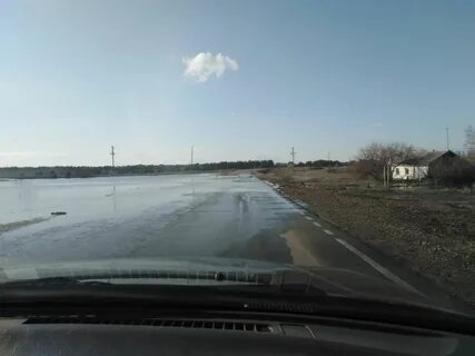 С локоть алтайского края