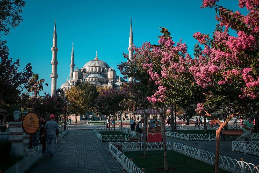 Город султанахмет. Турция Истамбул. Парк Турции Истамбул. Парк Балыкхане Стамбул. Турция Эстетика Истамбул.