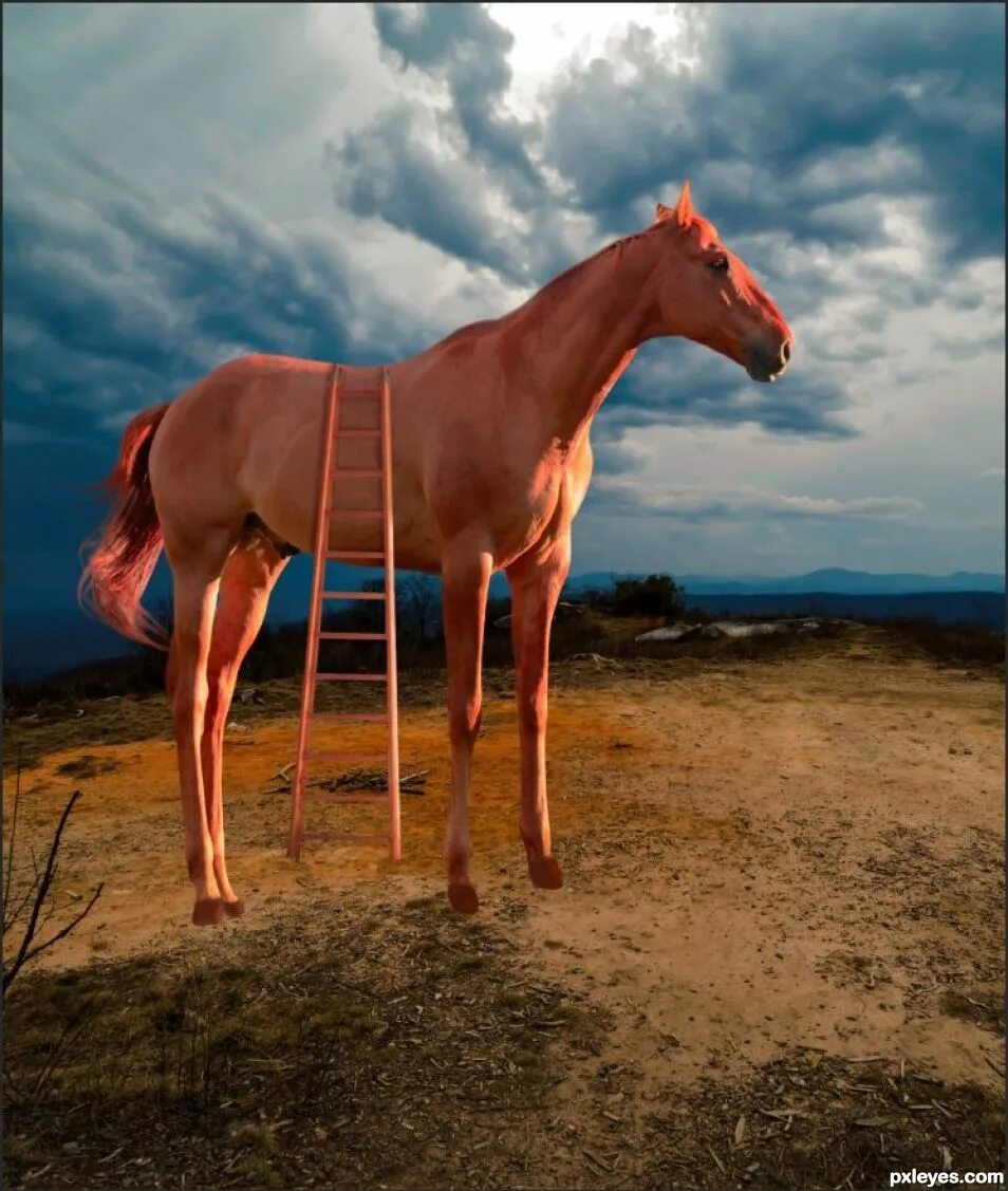 Batshit x white horse (remix). High horse. Лошадь слушает музыку. High horse. Horses high highs.