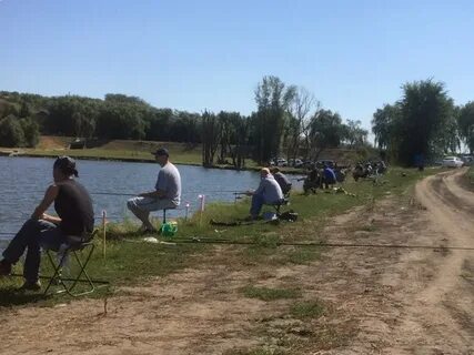 Ловля в августе на пруду