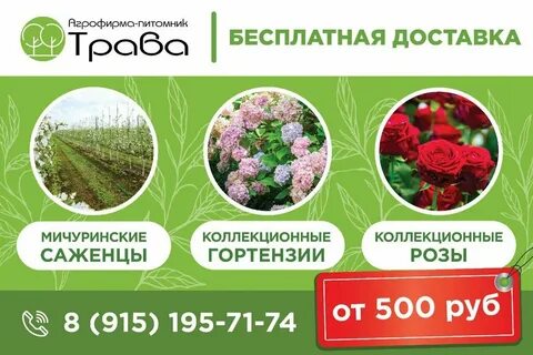 Питомники подмосковья отзывы