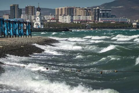 Холодный порывистый ветер в новороссийске 4 буквы