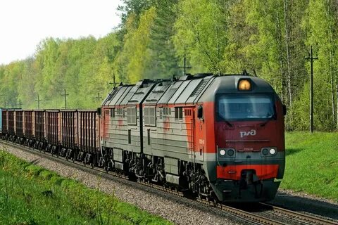 Тэ 25