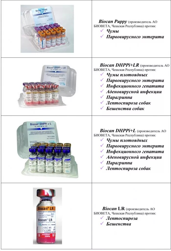 Вакцина от бешенства для человека побочные